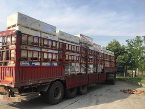 全國道路貨物運(yùn)輸行業(yè)動(dòng)態(tài)與商情資訊概覽